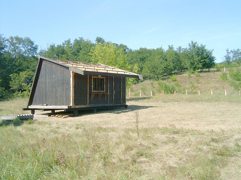 2009.08.20 032.jpg